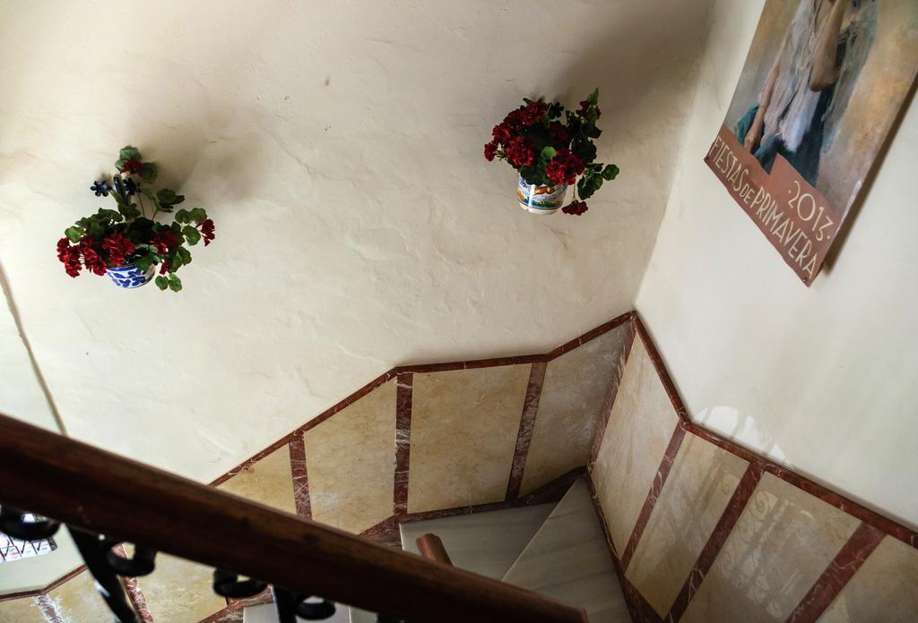Pension Perez Montilla Севілья Екстер'єр фото